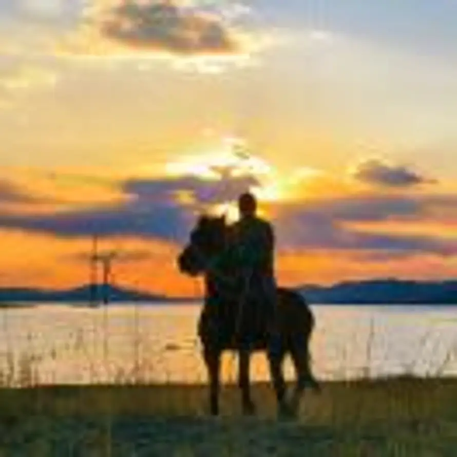 小飞 จุ๊บ 　 ༽xoxo的头像