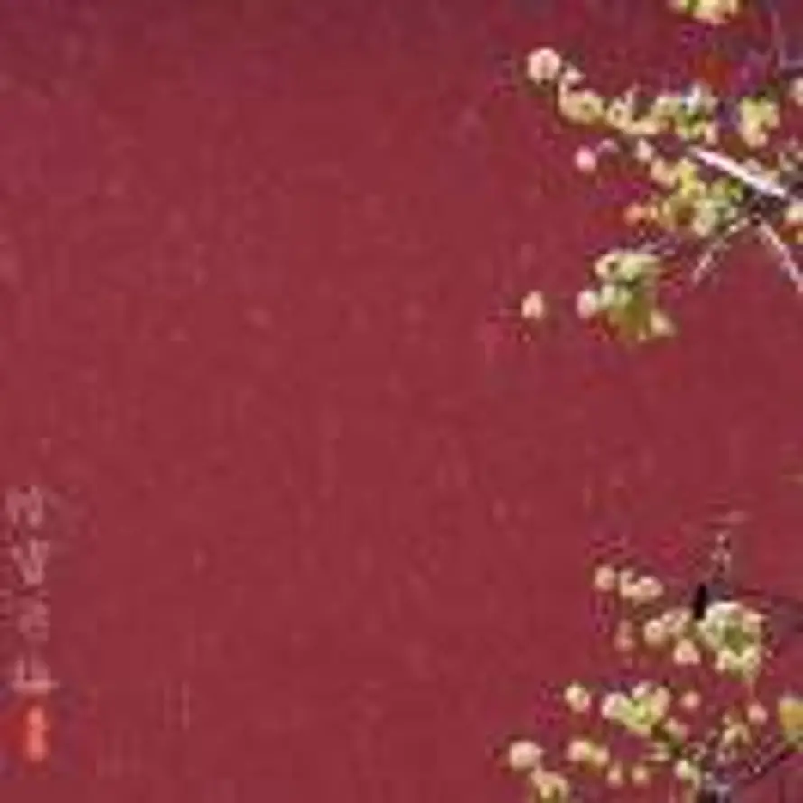 诺氟沙青分散片的头像