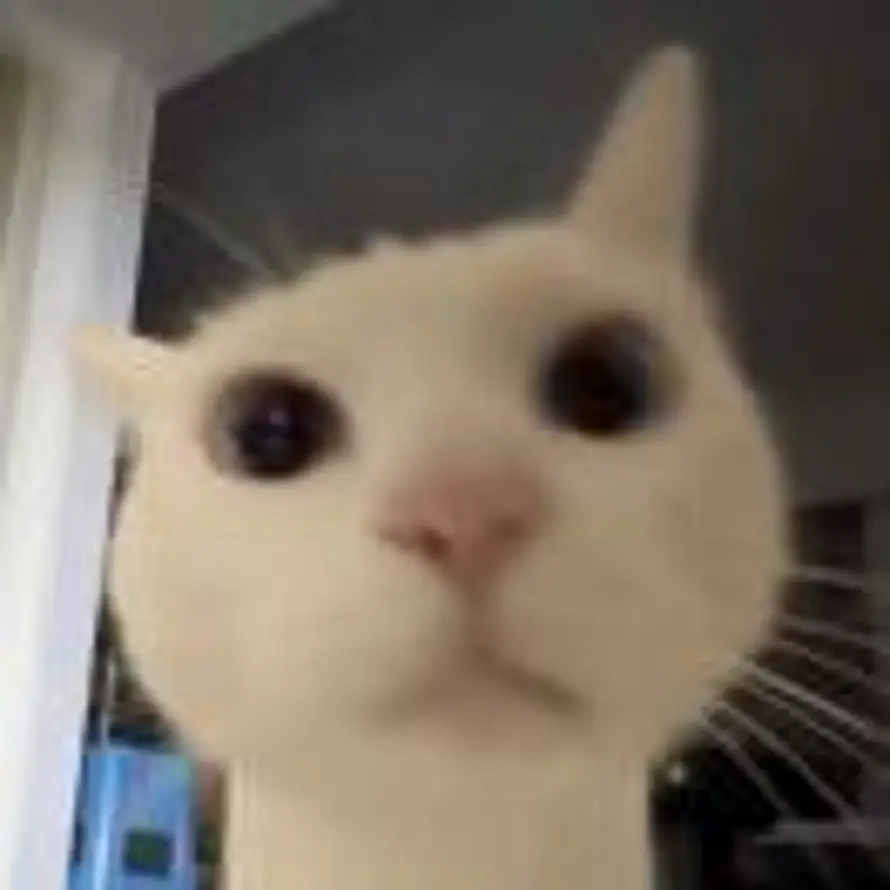  ㅤㅤㅤㅤ的头像