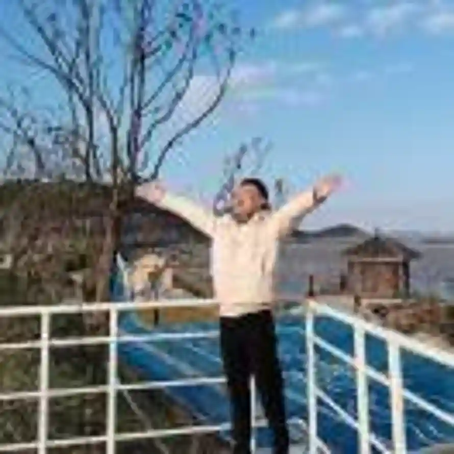 桂花糖醋颐的头像