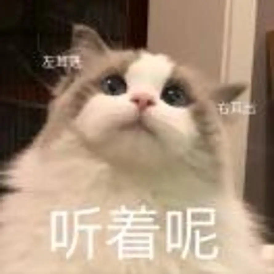Aurora.的头像