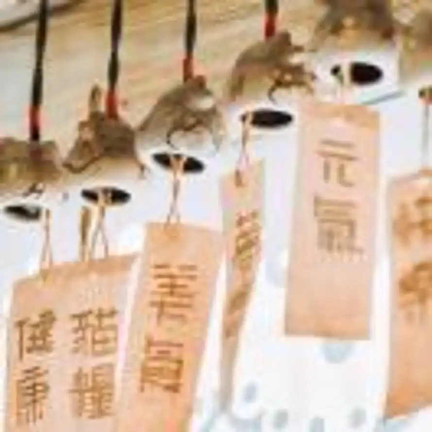 天蝎的头像