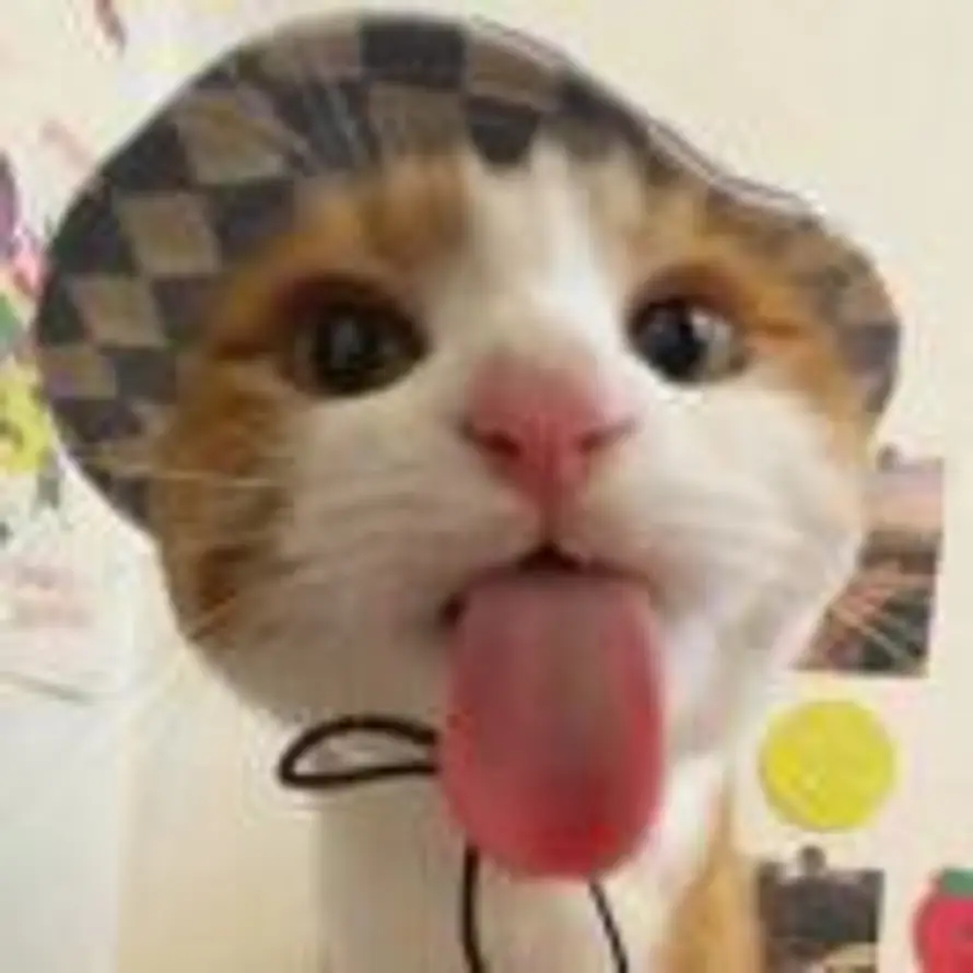 虾仁不wink🍤的头像