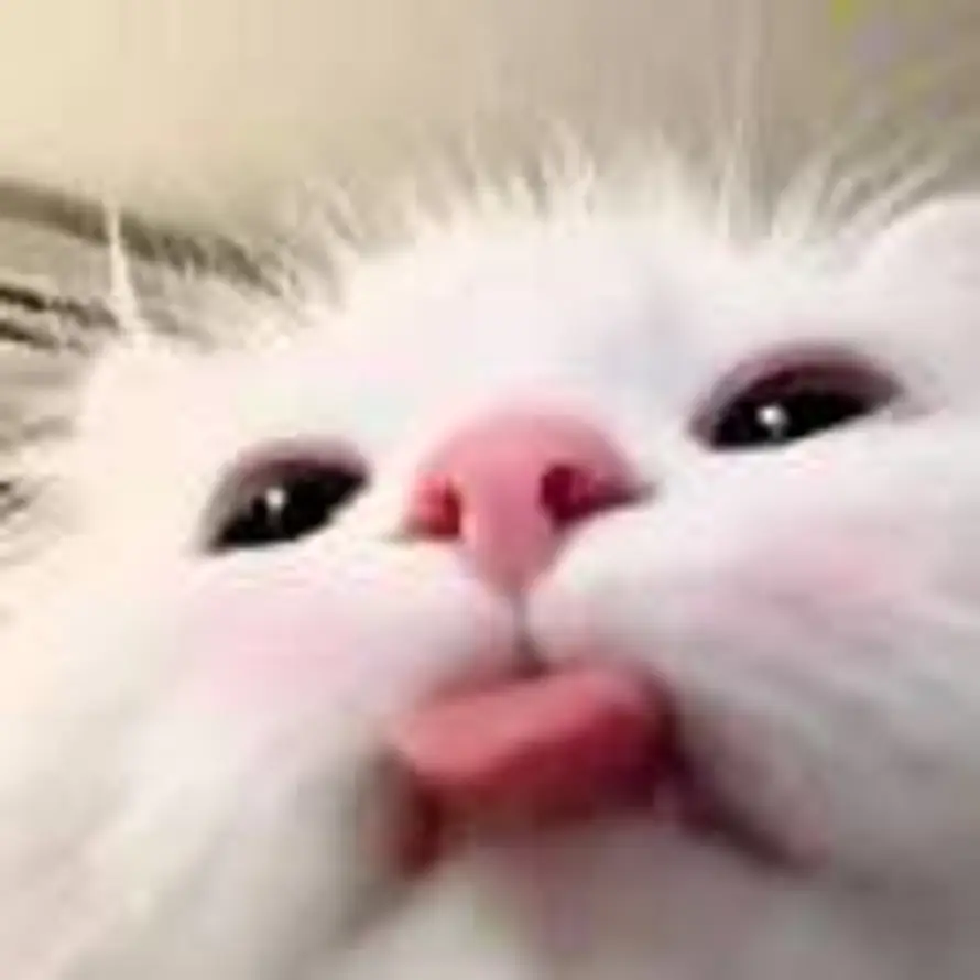 空白的头像