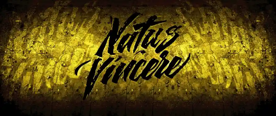 4kcs壁纸 - NAVI - csgo - 反恐精英「哲风壁纸」