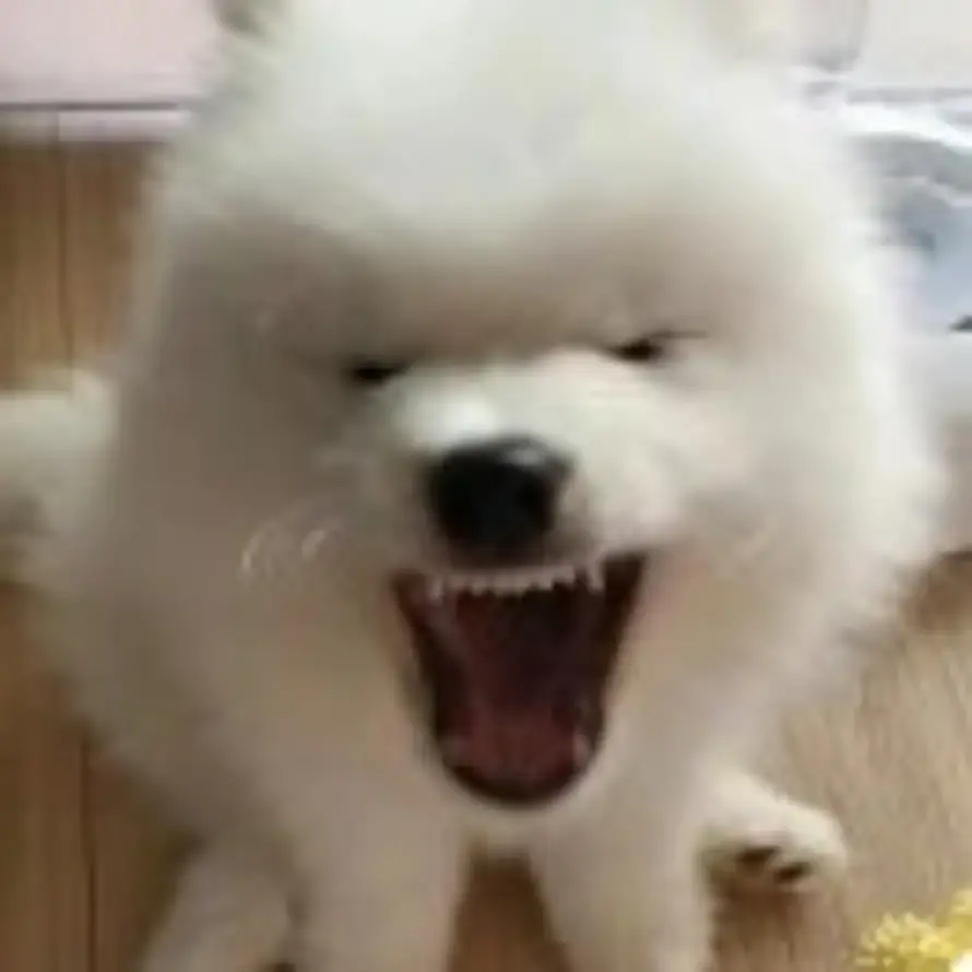 =_=的头像