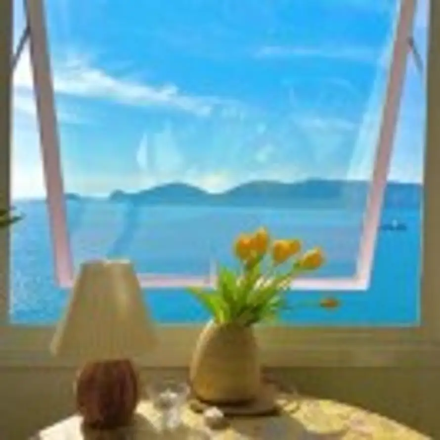 趴在窗边数星星i的头像