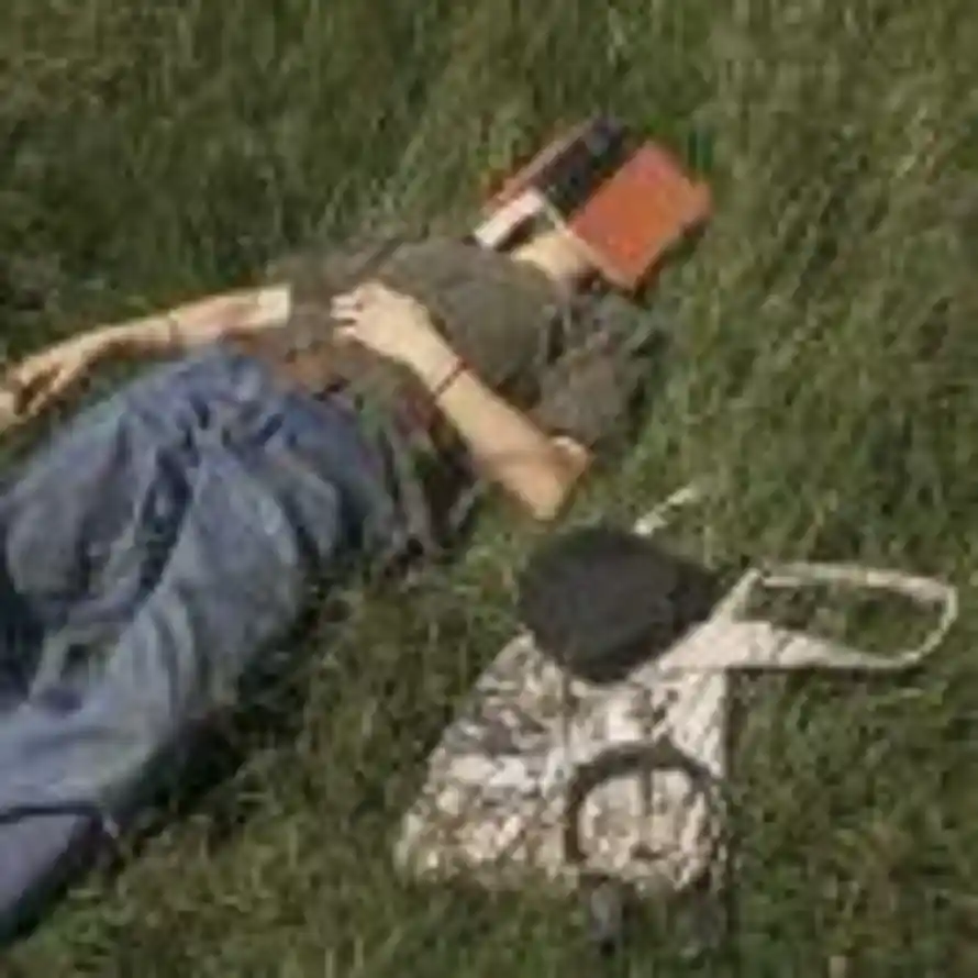 西西李的用户头像 - 哲风壁纸