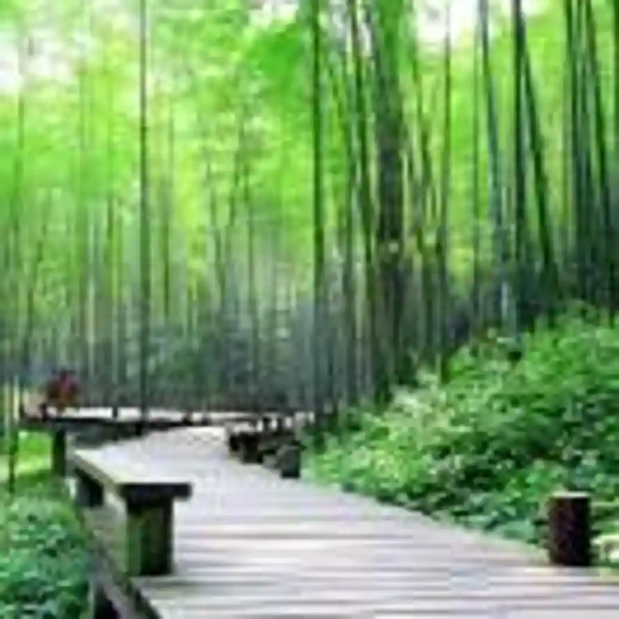 遇见山风的头像