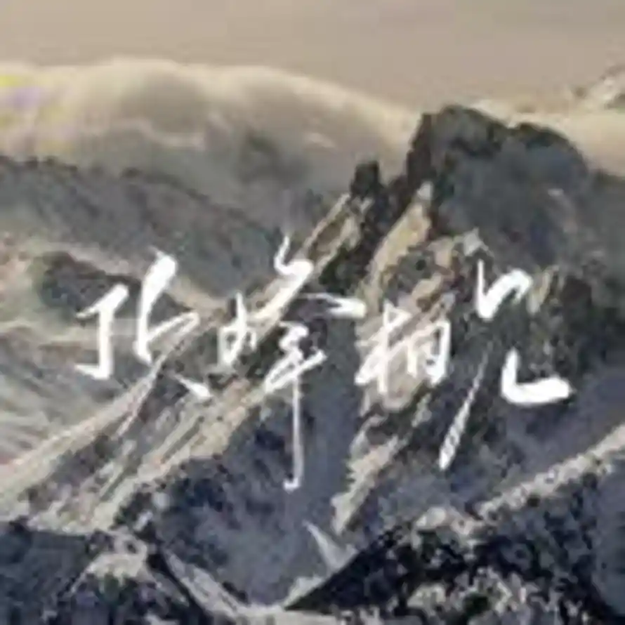 奈斯的头像