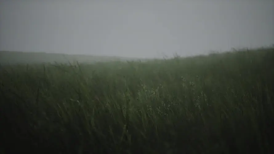 Favorite Image