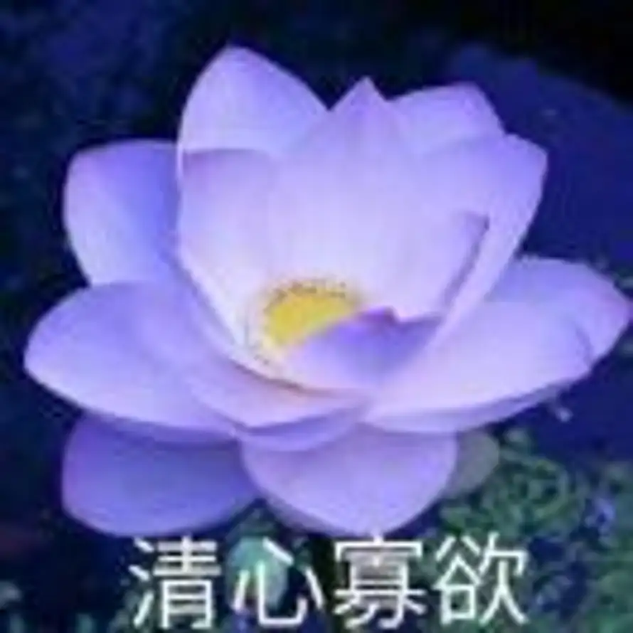 壹的头像