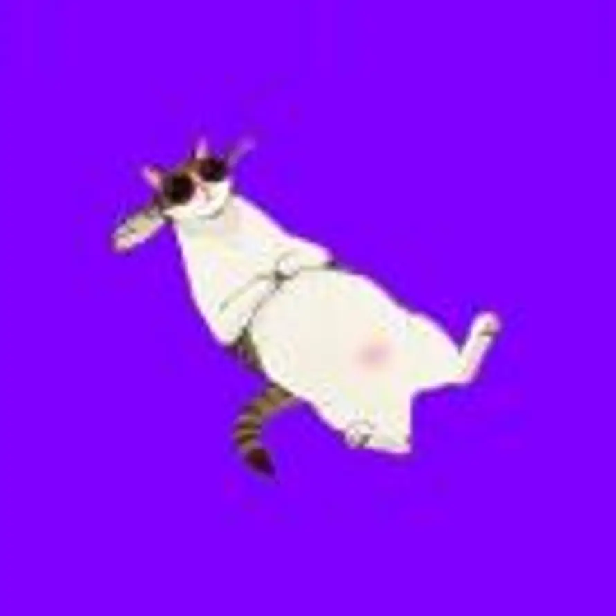 亚米戈达拉。的头像