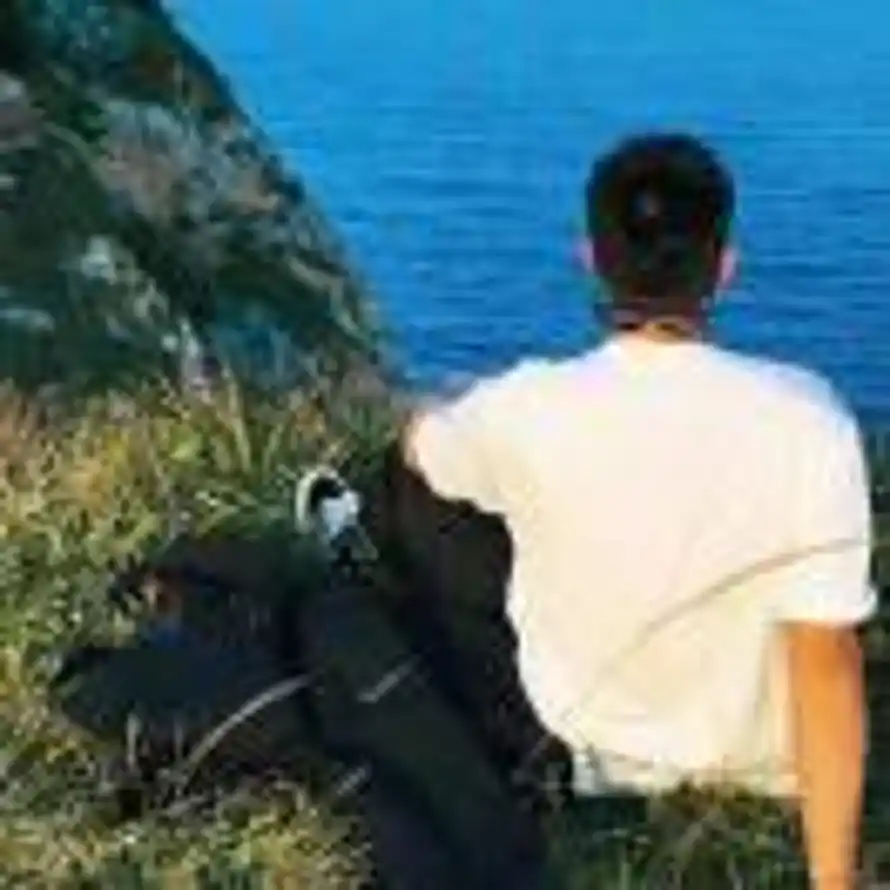 提拉米苏的头像