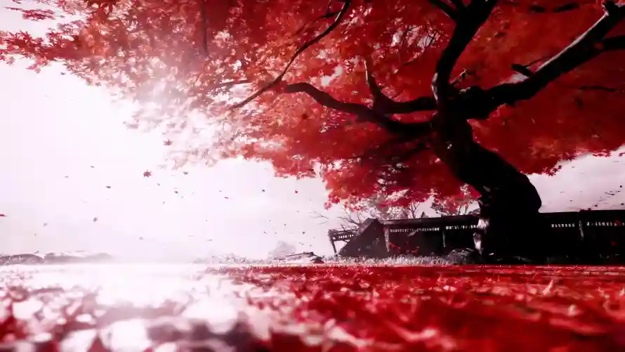 Favorite Image