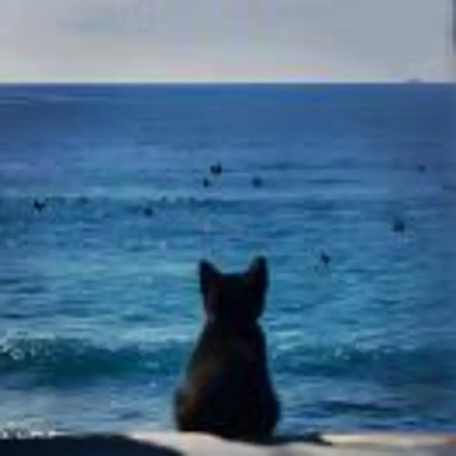 ᴸLOVEᴴ的头像