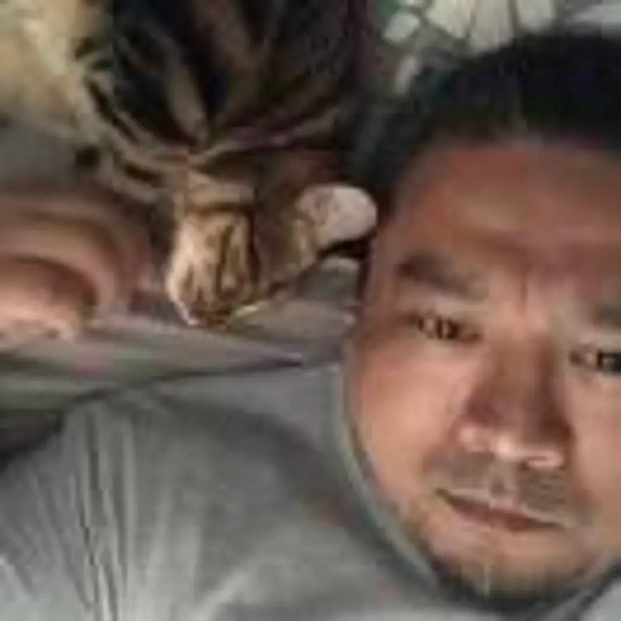 醉裡挑燈看劔的头像