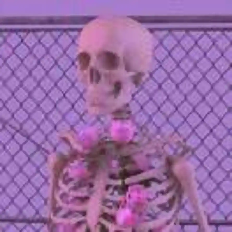 乔乔乔     🖤的头像