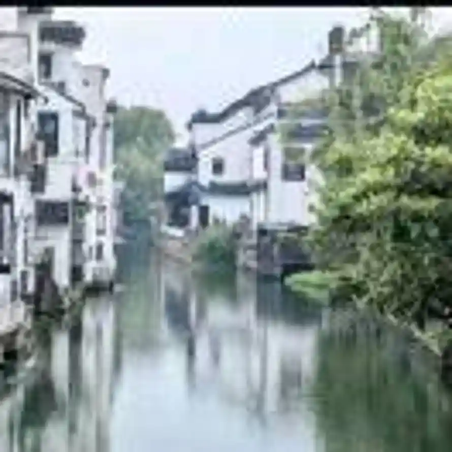 衣四羽(禤)HUEN的头像