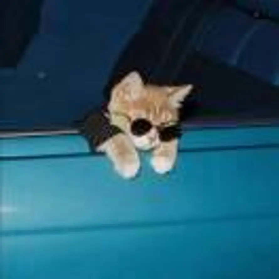 窝耶布吉岛的头像