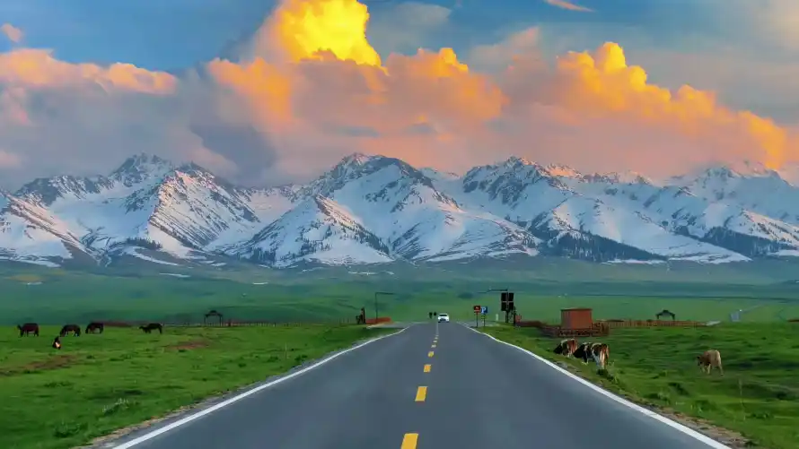 Favorite Image