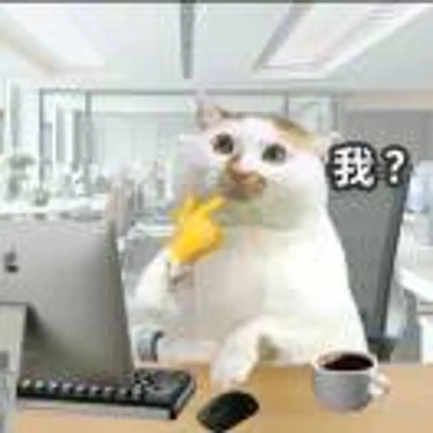 eaa的头像