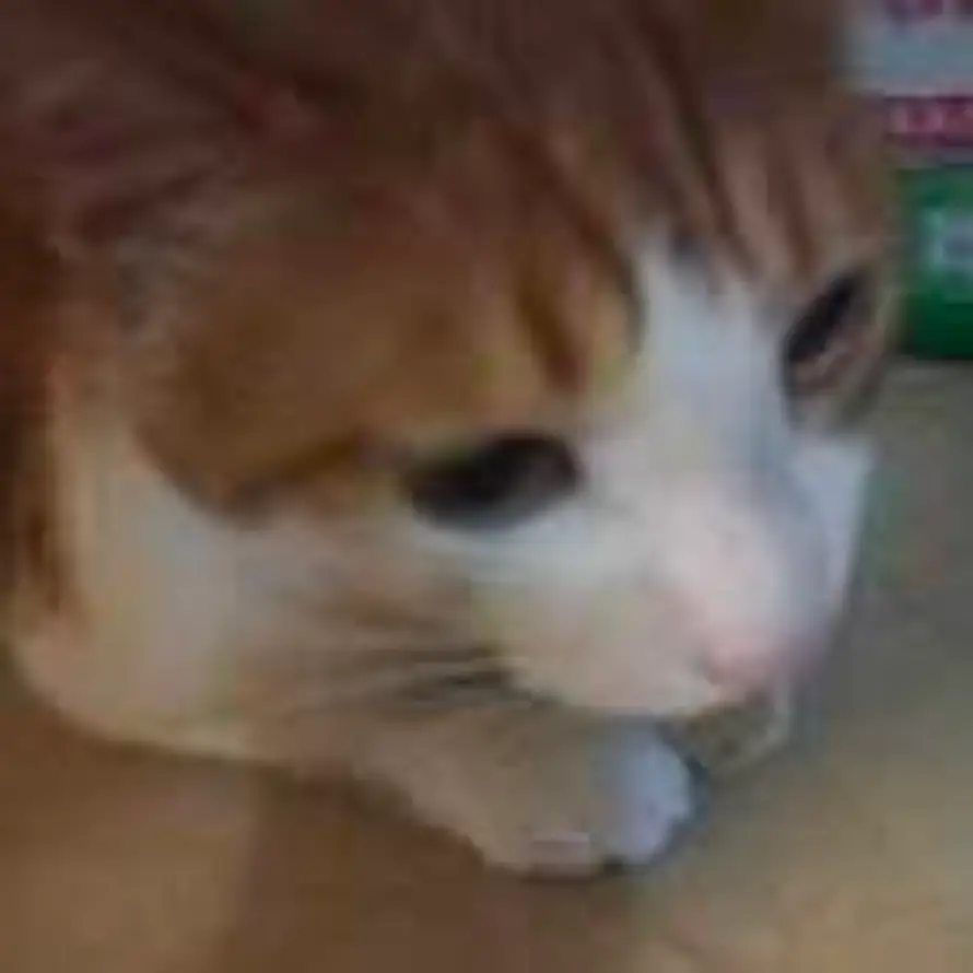 Mayday的用户头像 - 哲风壁纸