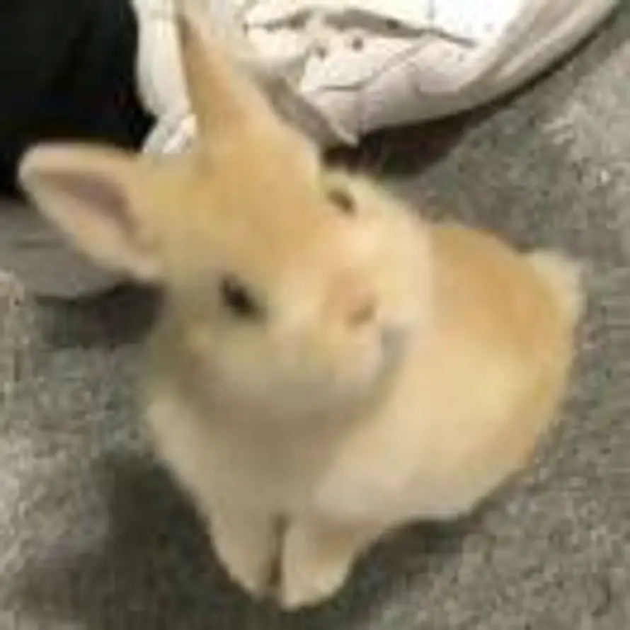 千颂伊的头像