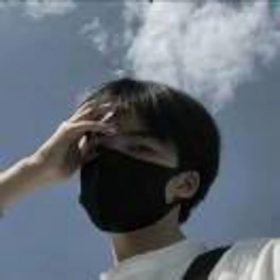 云雀叫了一整天的头像