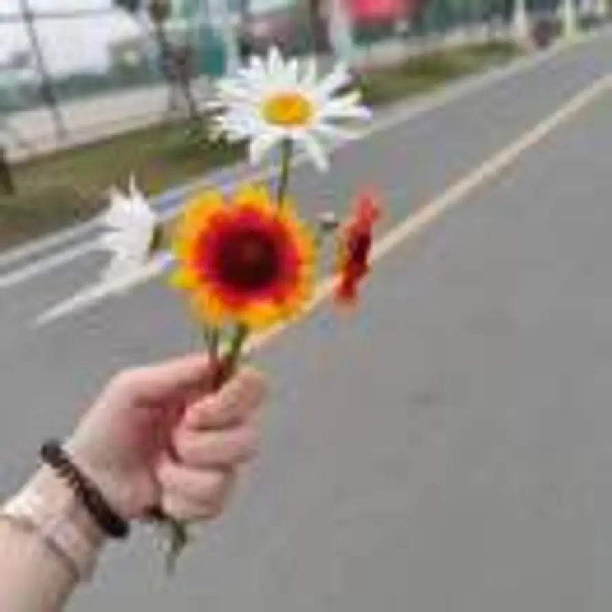 tanpi的头像