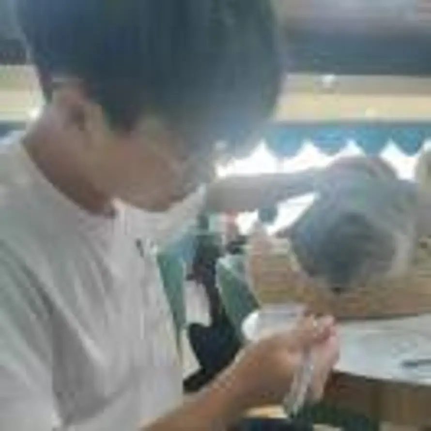 Xie33333的头像