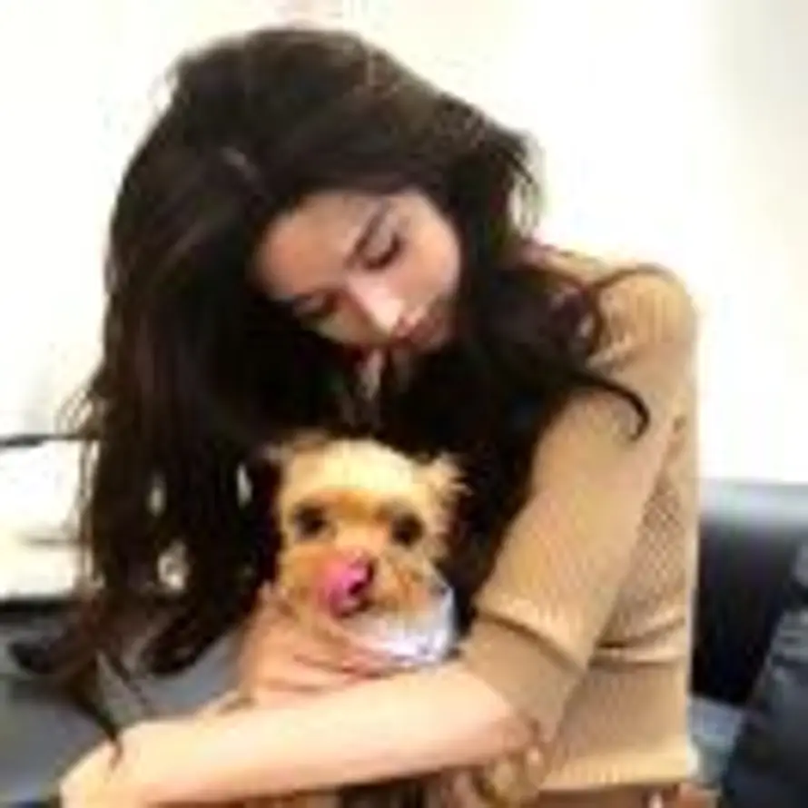 aviva的用户头像 - 哲风壁纸