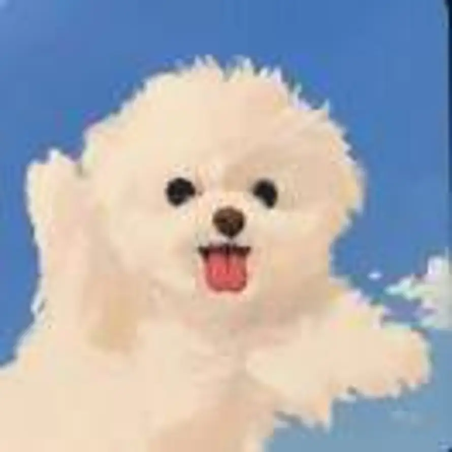 SAJKUQ的头像