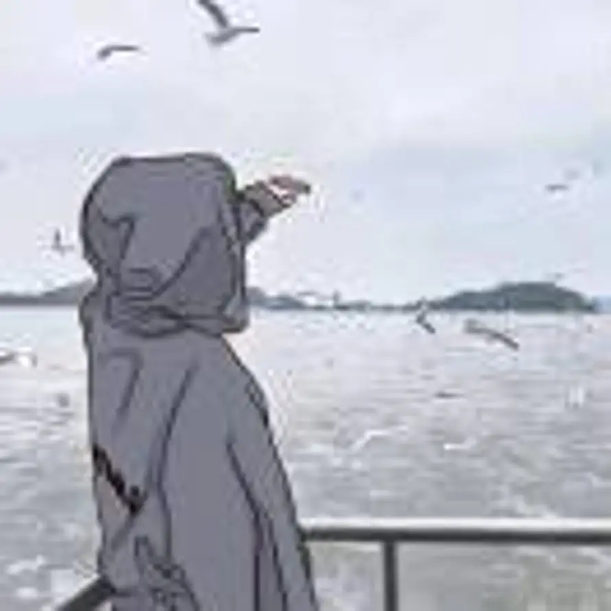 ph的头像