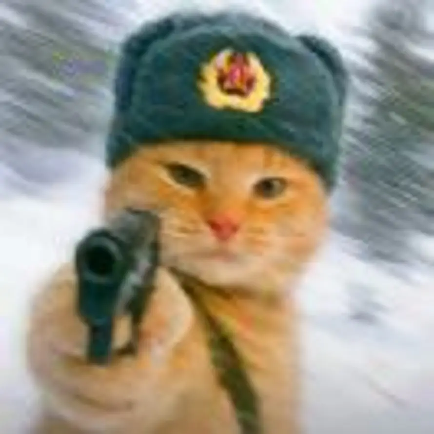 Convallaria的头像