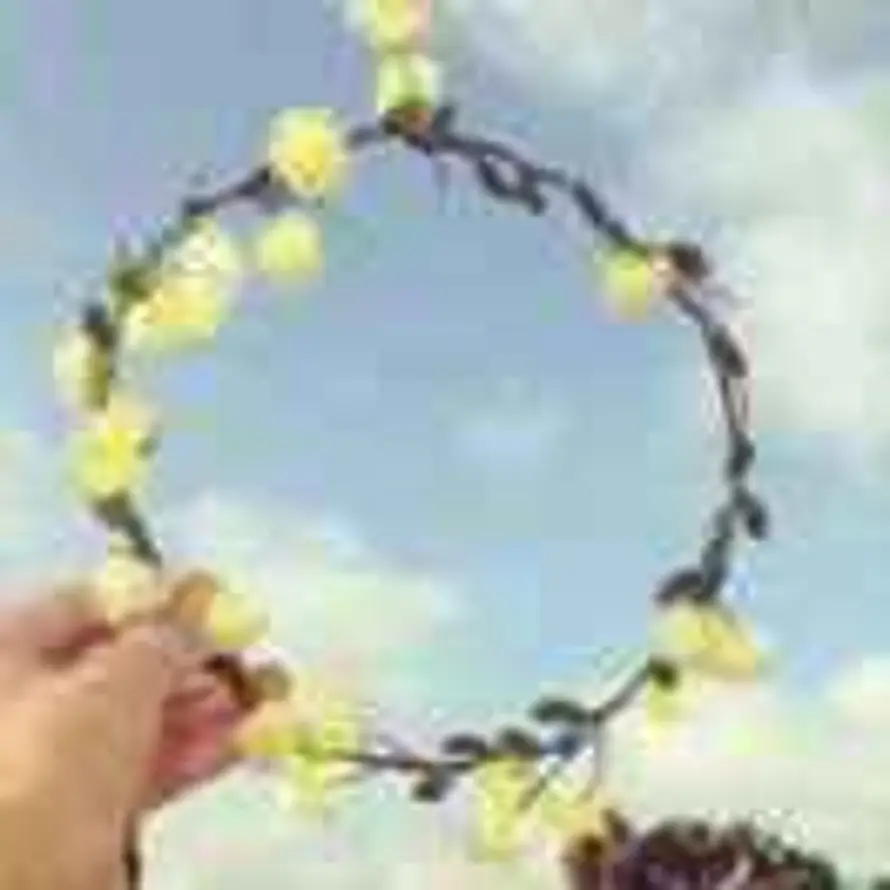 一季花开的头像