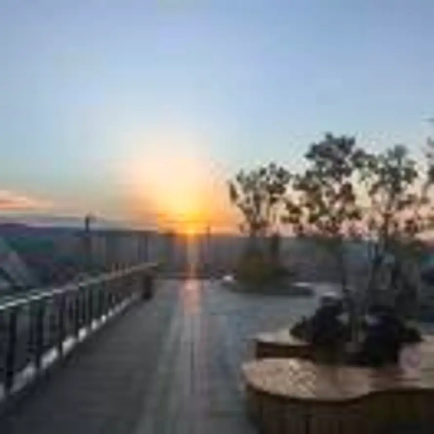杨二郎的头像