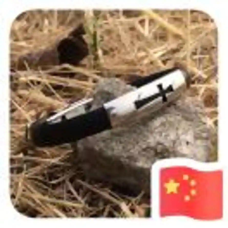 海盗的用户头像 - 哲风壁纸
