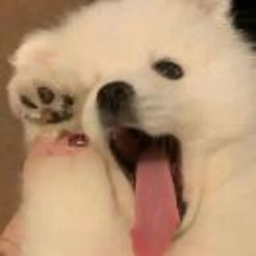 思方行圆的头像