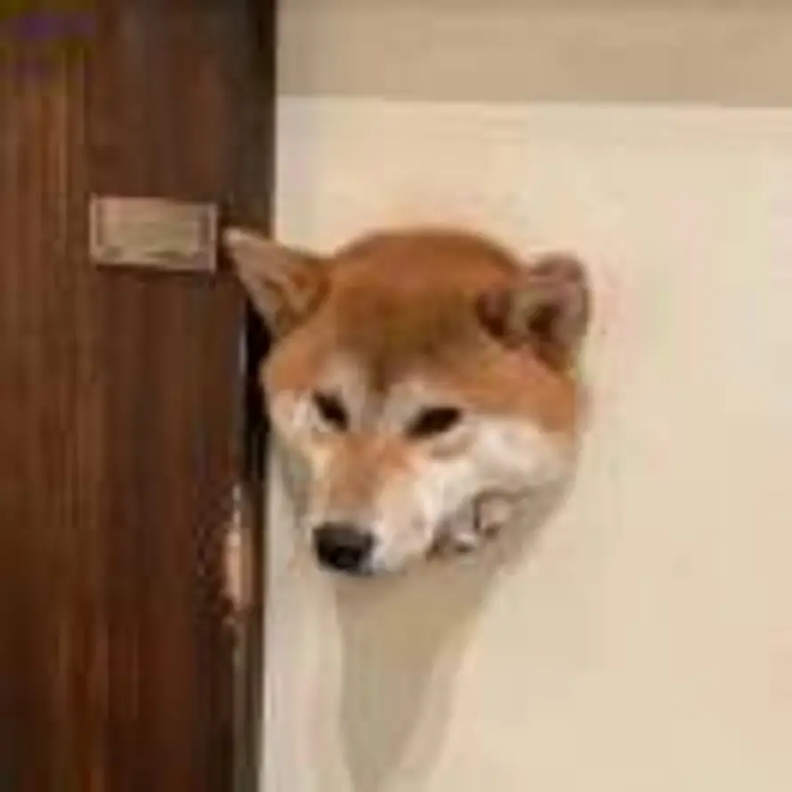 川南的头像