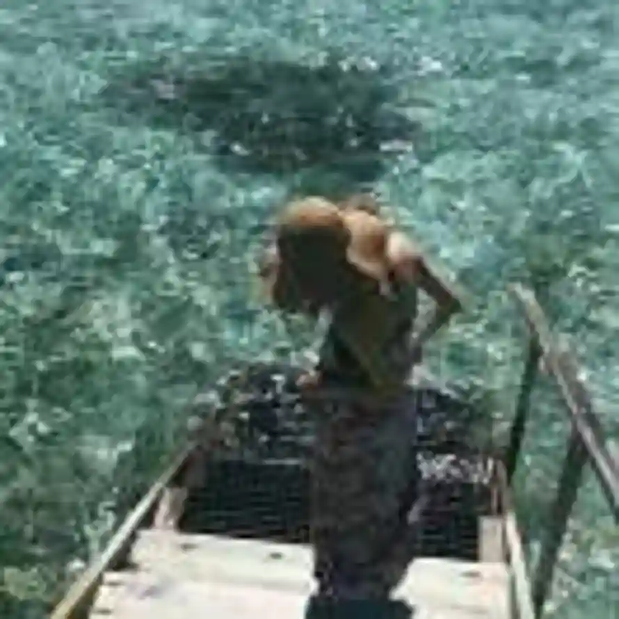 玄度的头像