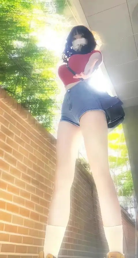 4k女生壁纸 - 砖墙 - 绿叶 - 阳光「哲风壁纸」