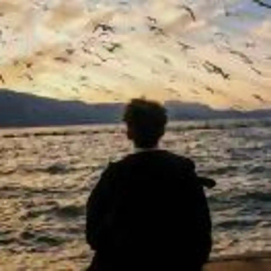 活成理想.的用户头像 - 哲风壁纸