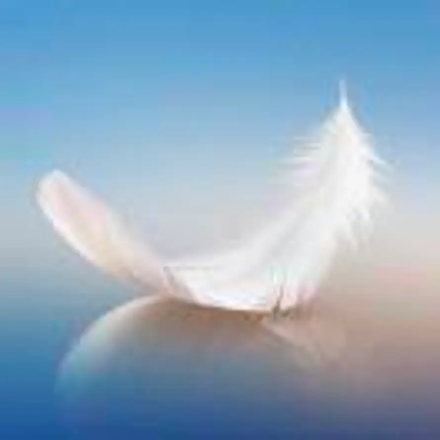 新华教育 张老师的头像