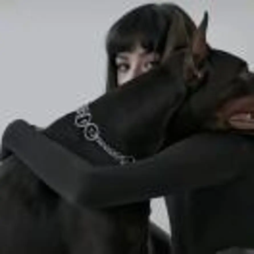    的头像