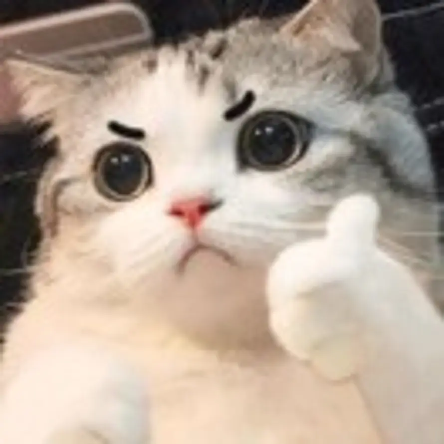 小阿辉的头像