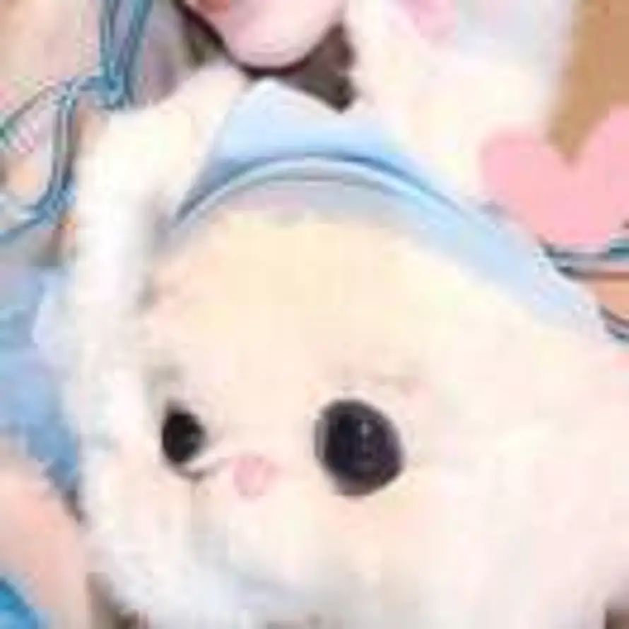 枫叶之季的头像