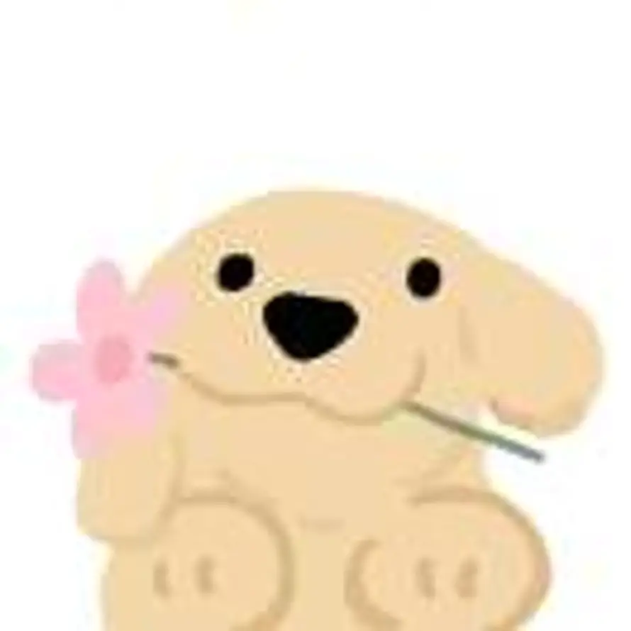 菠菜先生.的头像