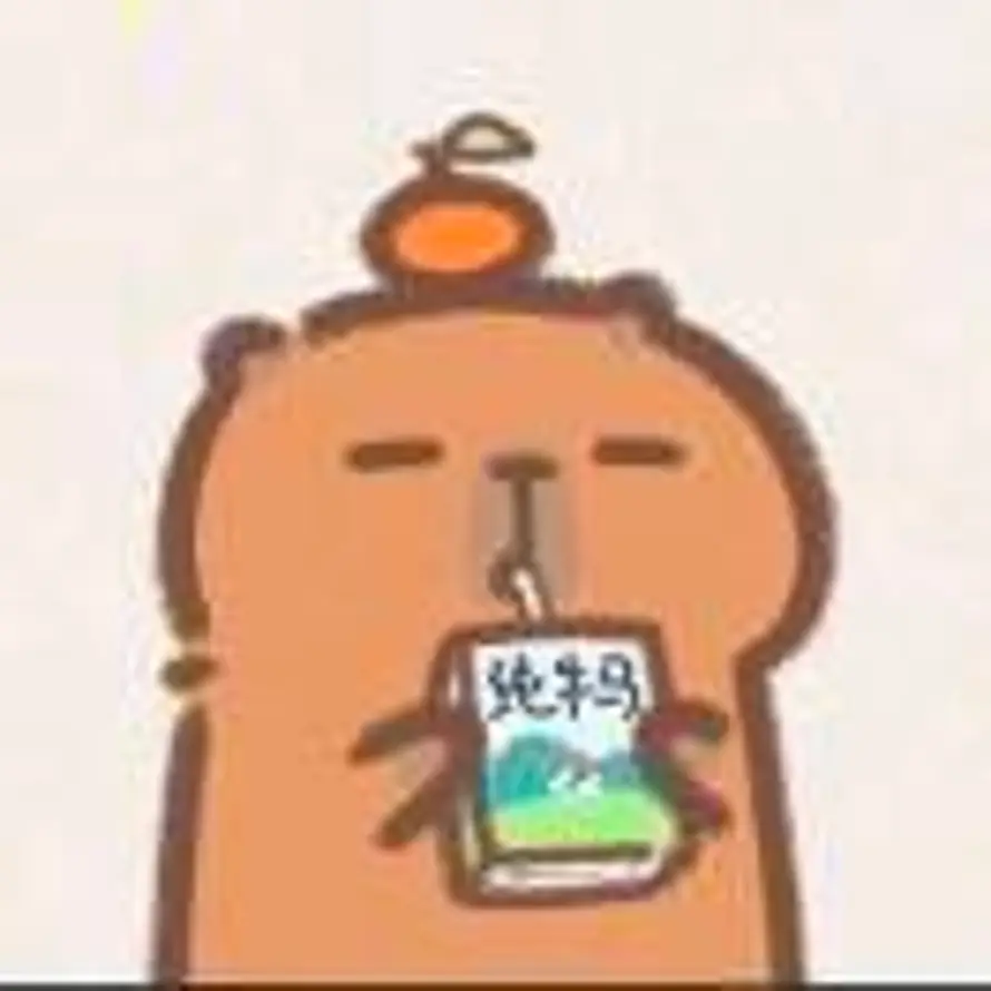 Havoc的头像