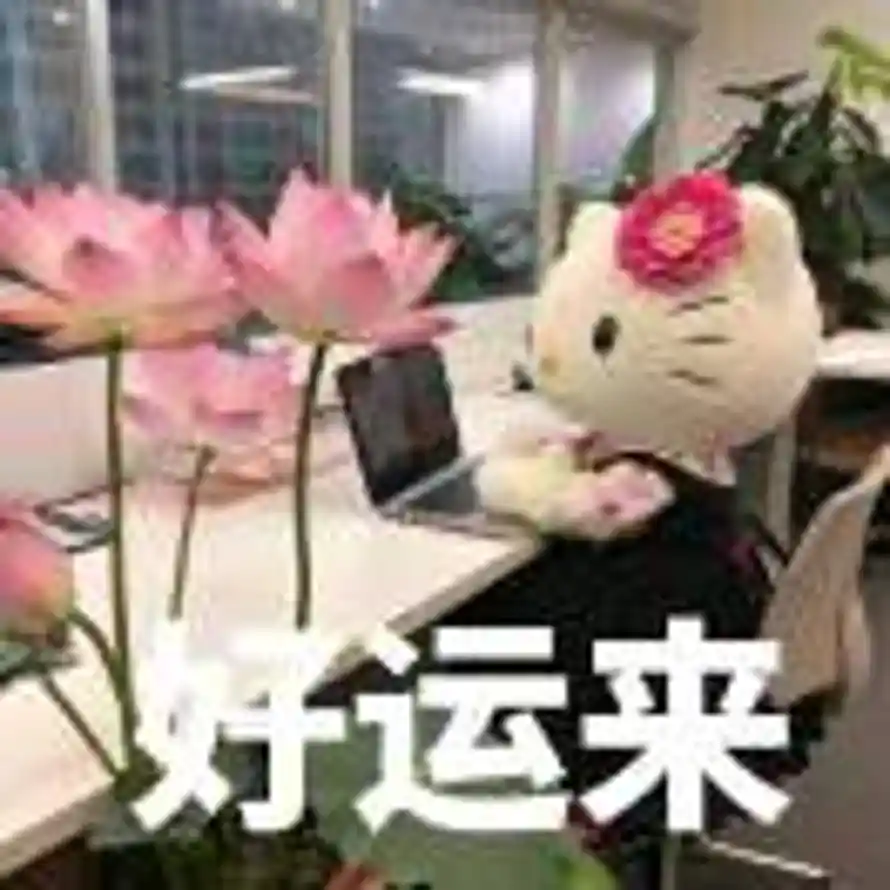 7的头像
